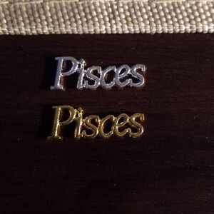 NEW PISCES ZODIAC GOLD  &  SILVER TONE 3D METAL NAIL CHARMS (2PCS)